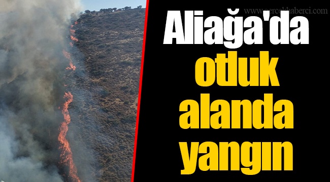 Aliağa'da otluk alanda yangın