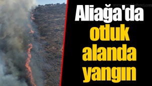 Aliağa'da otluk alanda yangın