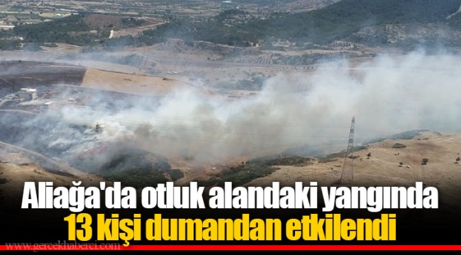Aliağa'da otluk alandaki yangında 13 kişi dumandan etkilendi