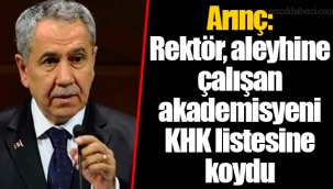 Arınç: Rektör, aleyhine çalışan akademisyeni KHK listesine koydu