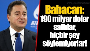 Babacan: 190 milyar dolar sattılar, hiçbir şey söylemiyorlar!