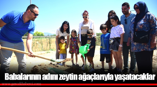 Babalarının adını zeytin ağaçlarıyla yaşatacaklar