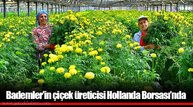 Bademler’in çiçek üreticisi Hollanda Borsası’nda