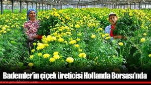 Bademler’in çiçek üreticisi Hollanda Borsası’nda