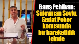Barış Pehlivan: Süleyman Soylu, Sedat Peker konusunda bir hareketlilik içinde