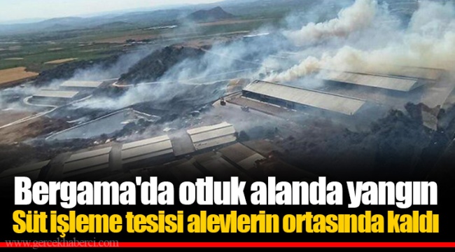 Bergama'da otluk alanda yangın