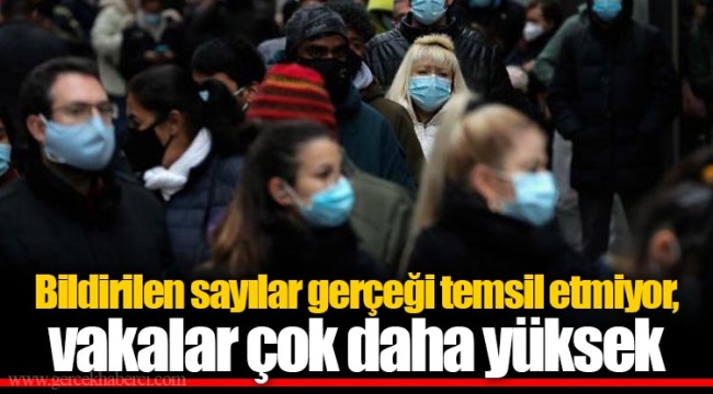 Bildirilen sayılar gerçeği temsil etmiyor, vakalar çok daha yüksek