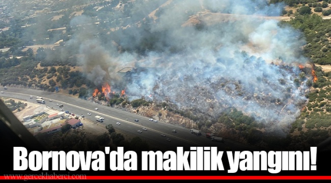 Bornova'da makilik yangını!