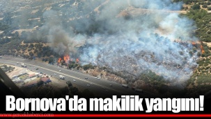 Bornova'da makilik yangını!