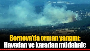 Bornova'da orman yangını: Havadan ve karadan müdahale
