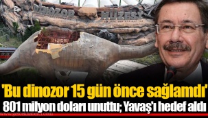 'Bu dinozor 15 gün önce sağlamdı' 801 milyon doları unuttu; Yavaş'ı hedef aldı