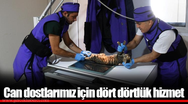 Can dostlarımız için dört dörtlük hizmet