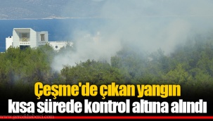 Çeşme'de çıkan yangın kısa sürede kontrol altına alındı