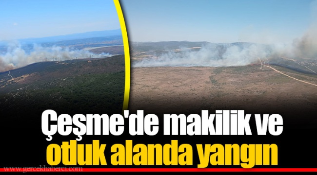Çeşme'de makilik ve otluk alanda yangın
