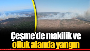 Çeşme'de makilik ve otluk alanda yangın