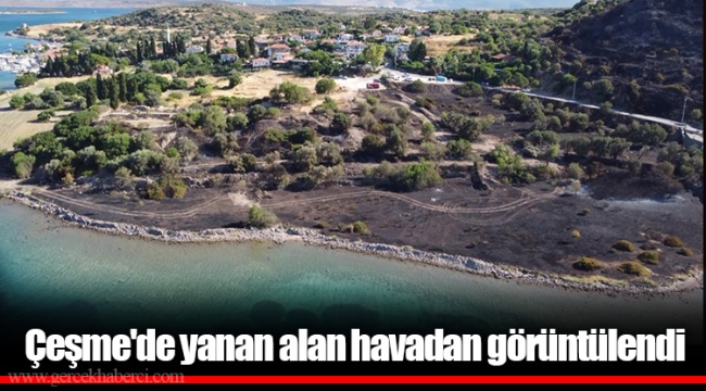 Çeşme'de yanan alan havadan görüntülendi