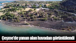 Çeşme'de yanan alan havadan görüntülendi
