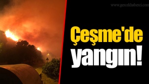 Çeşme'de yangın!