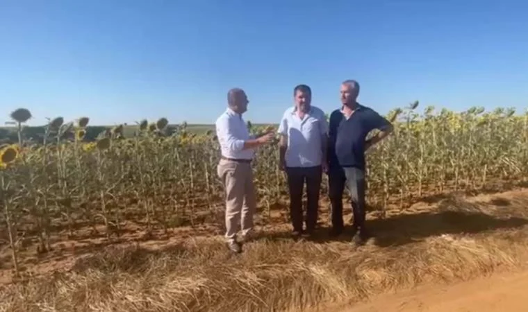 CHP'li İlhami Özcan Aygun Trakya'nın doğal afet bölgesi ilan edilmesi için çağrı yaptı