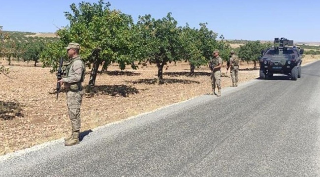 Çiftçilerin başı hırsızlarla dertte… Grup halinde gelerek tarlada para eden ürünü toplayıp kaçıyorlar