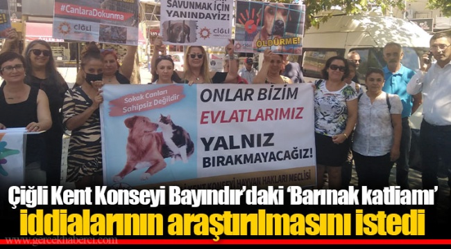 Çiğli Kent Konseyi Bayındır’daki ‘Barınak katliamı’ iddialarının araştırılmasını istedi