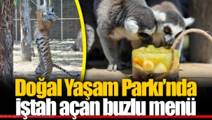Doğal Yaşam Parkı’nda iştah açan buzlu menü
