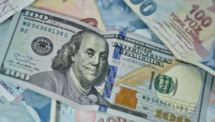 Dolar 24 lirayı görebilir