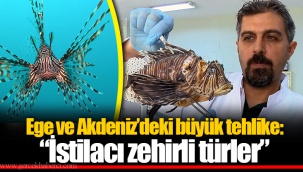 Ege ve Akdeniz’deki büyük tehlike: “İstilacı zehirli türler”