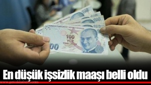 En düşük işsizlik maaşı belli oldu