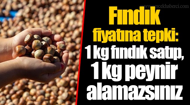 Fındık fiyatına tepki: 1 kg fındık satıp, 1 kg peynir alamazsınız