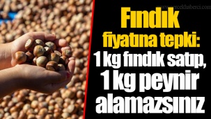 Fındık fiyatına tepki: 1 kg fındık satıp, 1 kg peynir alamazsınız