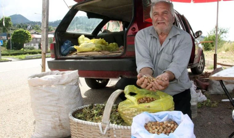 Fındık üreticileri Erdoğan'ın fiyat açıklamasını beklemeden satışa başladı