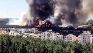 Gaziantep'te üniversiteye yakın alanda orman yangını!