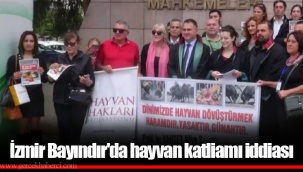 İzmir Bayındır'da hayvan katliamı iddiası