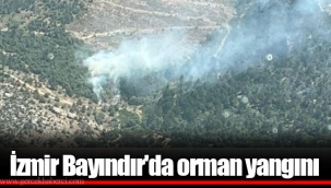 İzmir Bayındır'da orman yangını