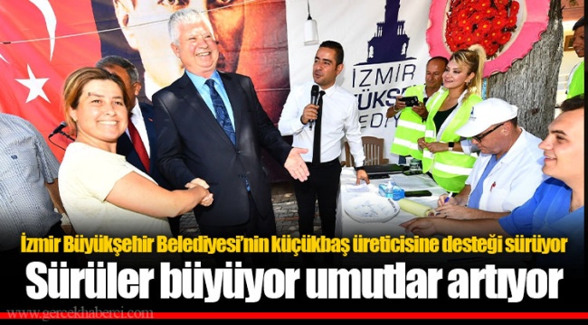 İzmir Büyükşehir Belediyesi’nin küçükbaş üreticisine desteği sürüyor
