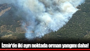 İzmir'de iki ayrı noktada orman yangını daha!