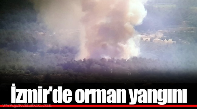 İzmir'de orman yangını
