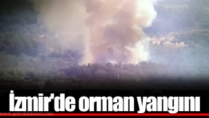 İzmir'de orman yangını
