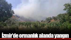 İzmir'de ormanlık alanda yangın