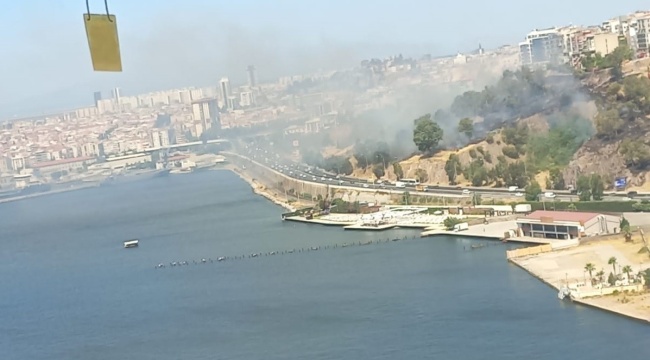 İzmir'de otluk alanda yangın