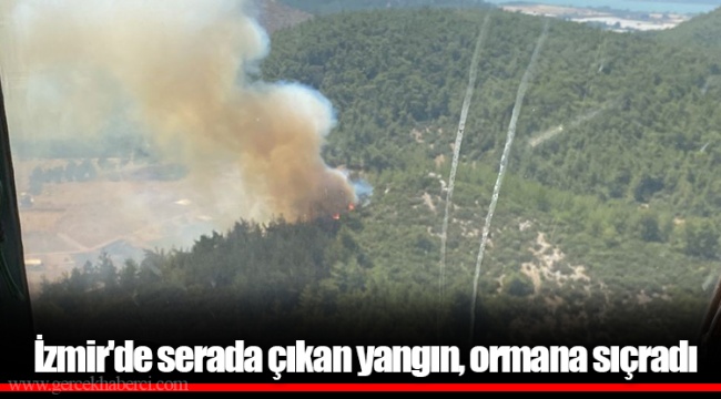 İzmir'de serada çıkan yangın, ormana sıçradı