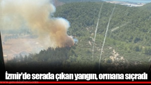 İzmir'de serada çıkan yangın, ormana sıçradı