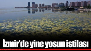 İzmir'de yine yosun istilası