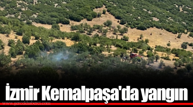 İzmir Kemalpaşa'da yangın