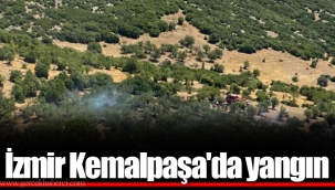 İzmir Kemalpaşa'da yangın