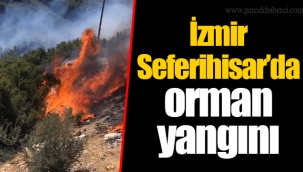 İzmir Seferihisar’da orman yangını
