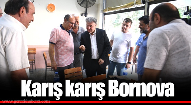 Karış karış Bornova