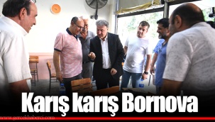 Karış karış Bornova