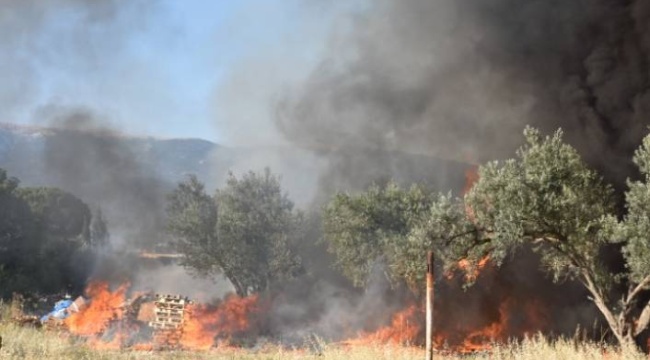 Kemalpaşa'da korkutan yangın